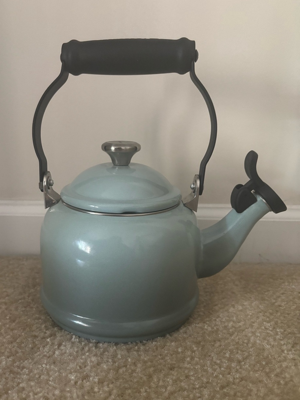 Enamel On Steel Demi Tea Kettle with Metal Finishes - 1.25 qt
